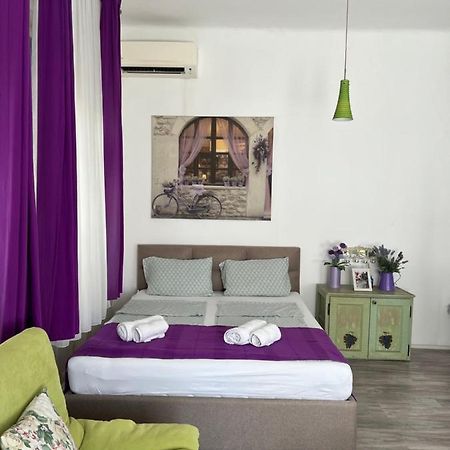 Center Cosy Vintage Apartment Novi Sad Exteriör bild