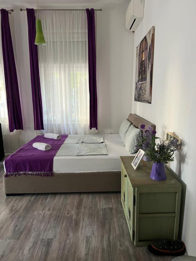 Center Cosy Vintage Apartment Novi Sad Exteriör bild