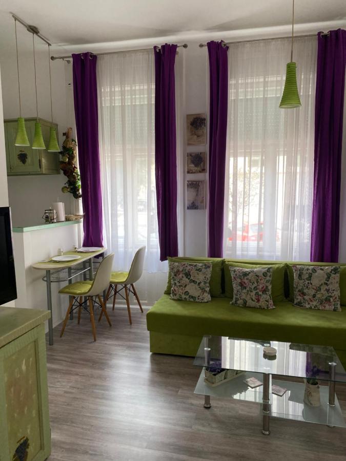 Center Cosy Vintage Apartment Novi Sad Exteriör bild