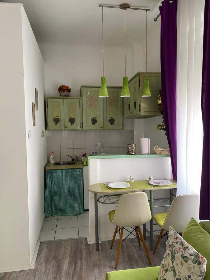 Center Cosy Vintage Apartment Novi Sad Exteriör bild