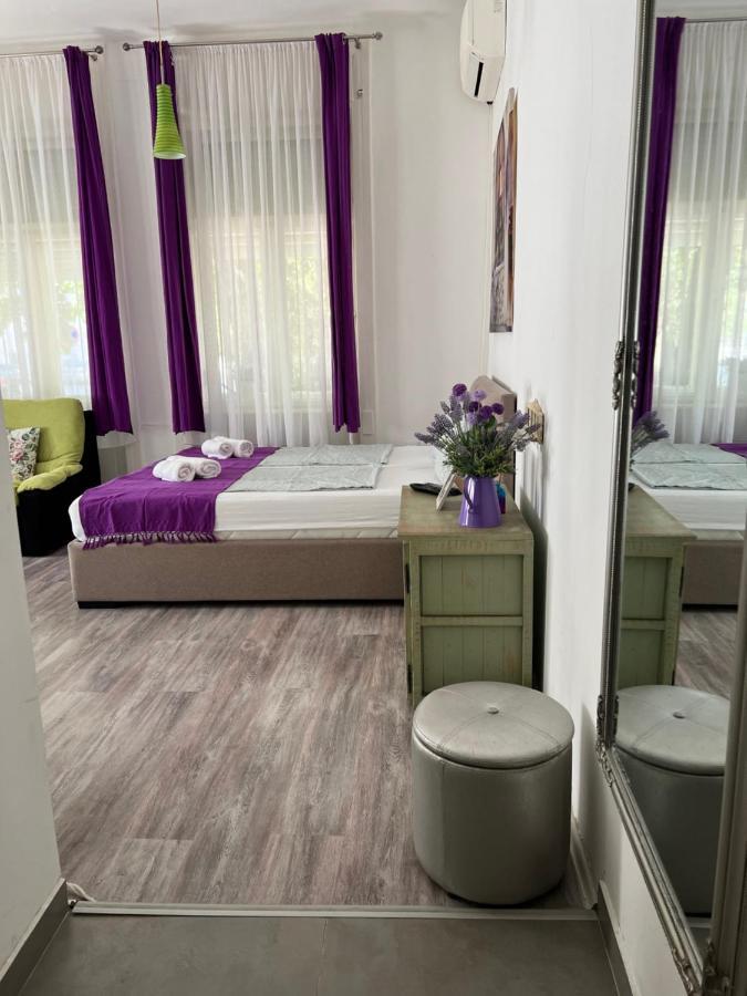 Center Cosy Vintage Apartment Novi Sad Exteriör bild