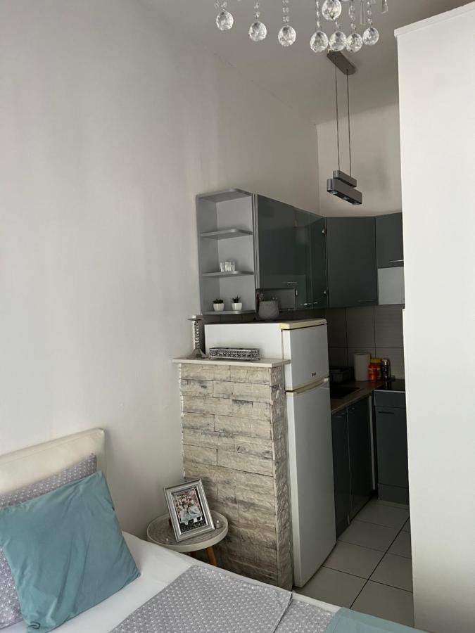 Center Cosy Vintage Apartment Novi Sad Exteriör bild